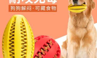 橡胶弹力球 橡胶弹力球